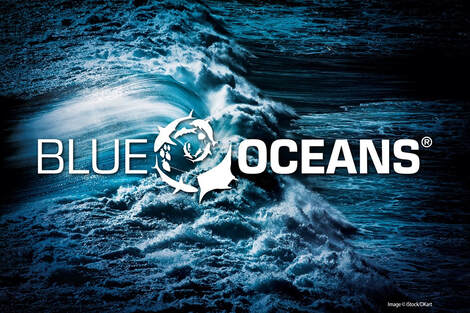 Link to SSI Blue Oceans web Page