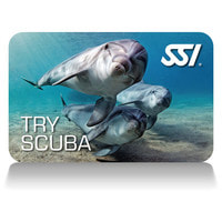 Link To SSI Try Scuba Experience Gozo